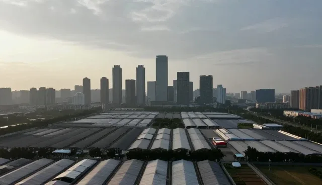 企业选择技术服务时的创新关注点分析